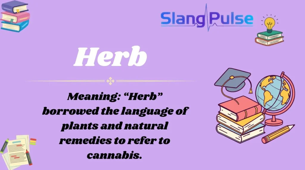 Herb