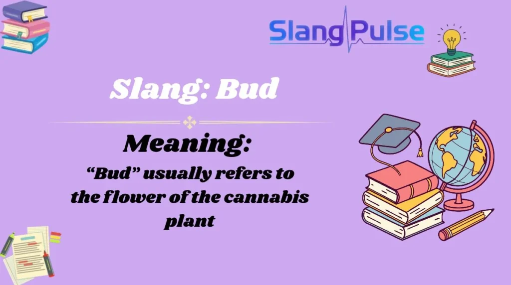 Slang: Bud