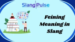 Feining Meaning in Slang