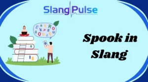 Spook in Slang